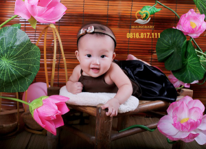 concept truyen thong 6
