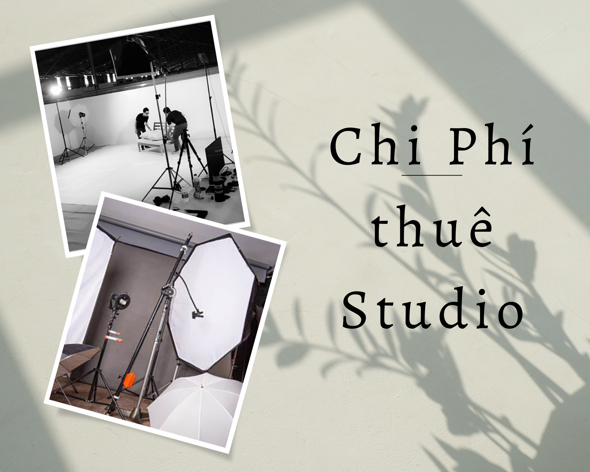 chi_phi_thue_studio
