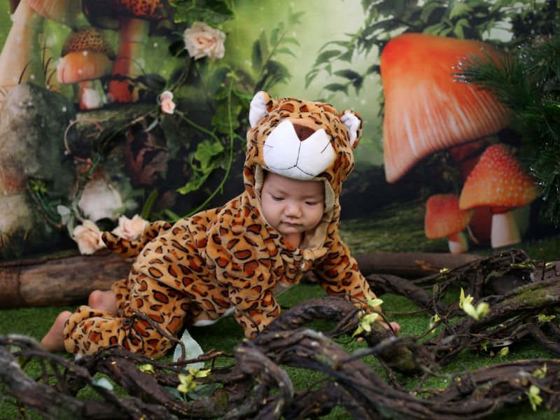chụp studio là gì