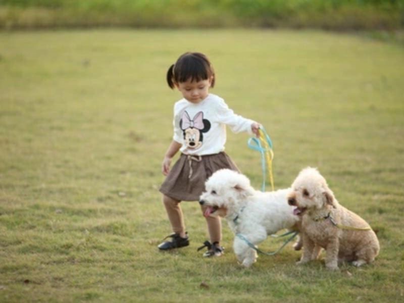 chụp ảnh sinh nhật ngoài trời cho bé